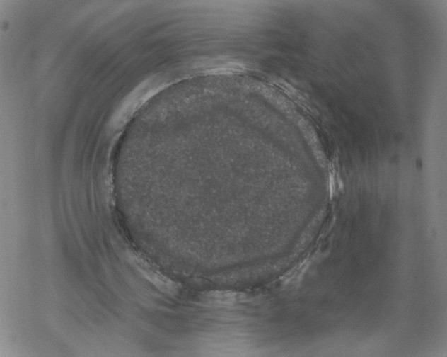 X0000067900339200605111923