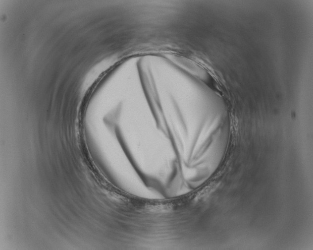 X0000067900340200605111923