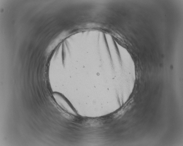 X0000067900341200605111923