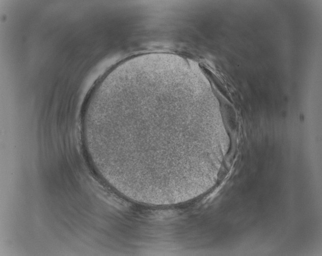 X0000067900342200605111923