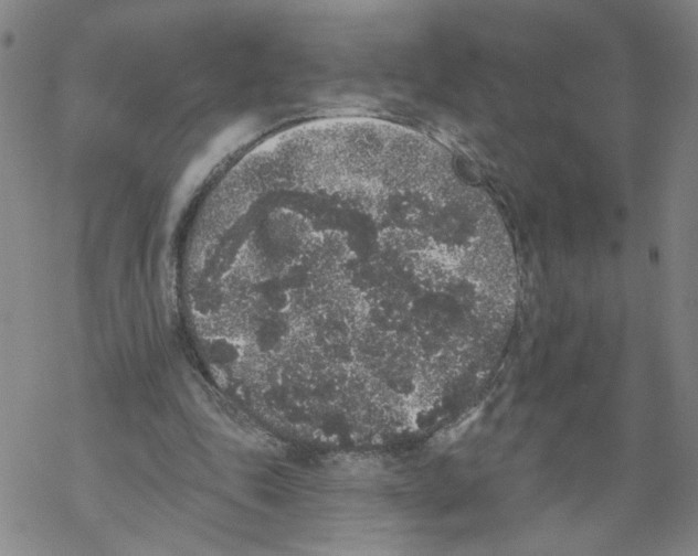 X0000067900343200605111923