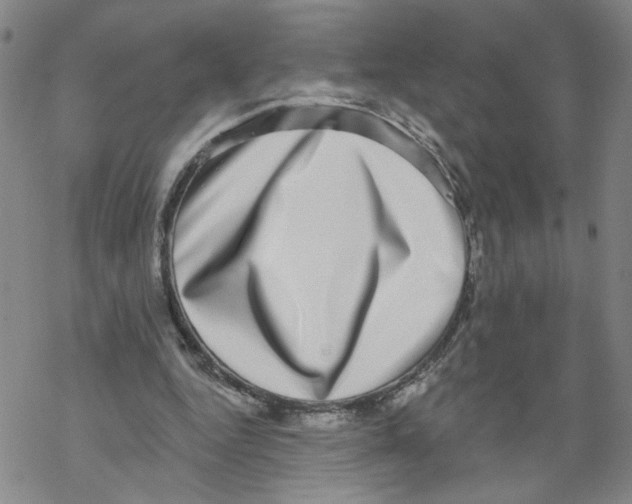 X0000067900344200605111923