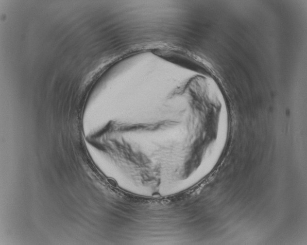 X0000067900345200605111923