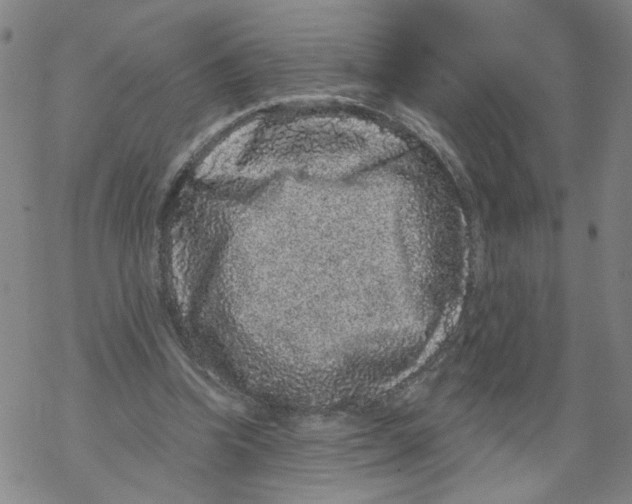 X0000067900346200605111923