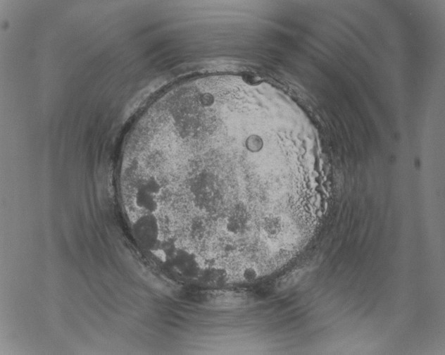 X0000067900347200605111923