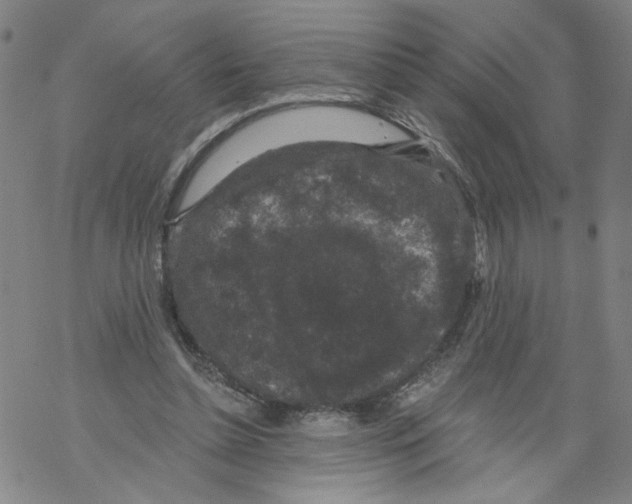 X0000067900348200605111923