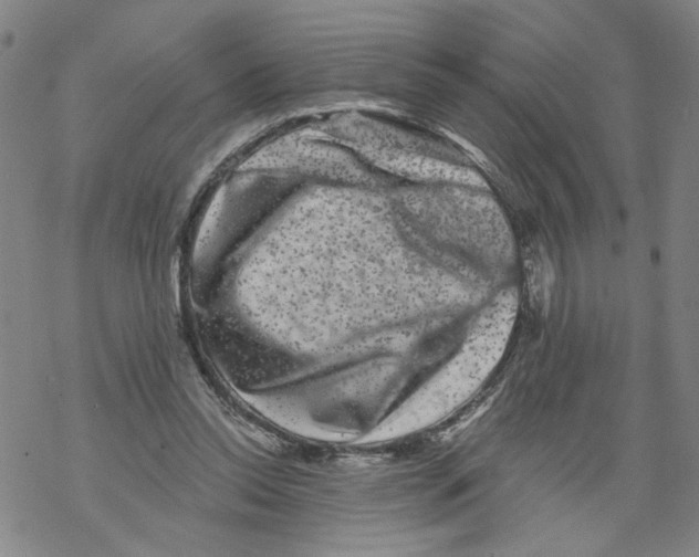 X0000067900350200605111923