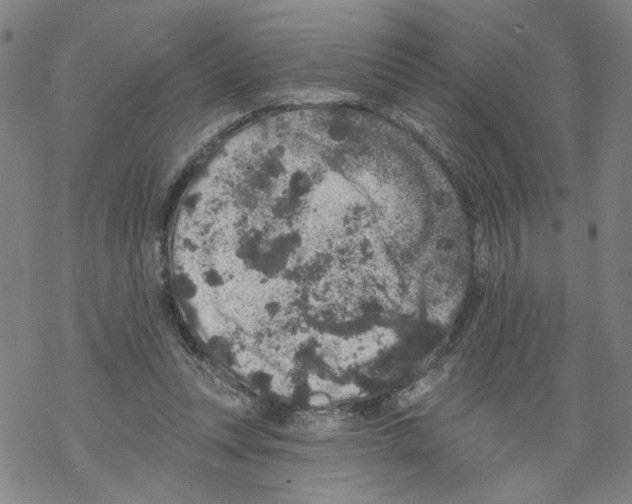 X0000067900351200605111923