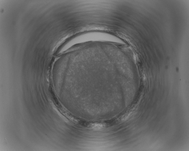 X0000067900352200605111923