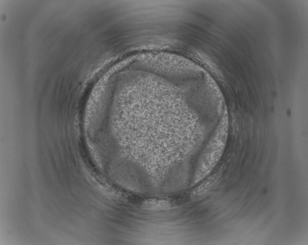 X0000067900354200605111923