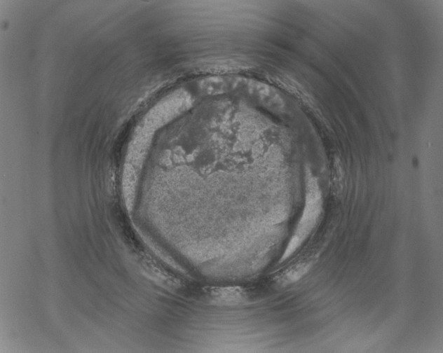 X0000067900355200605111923