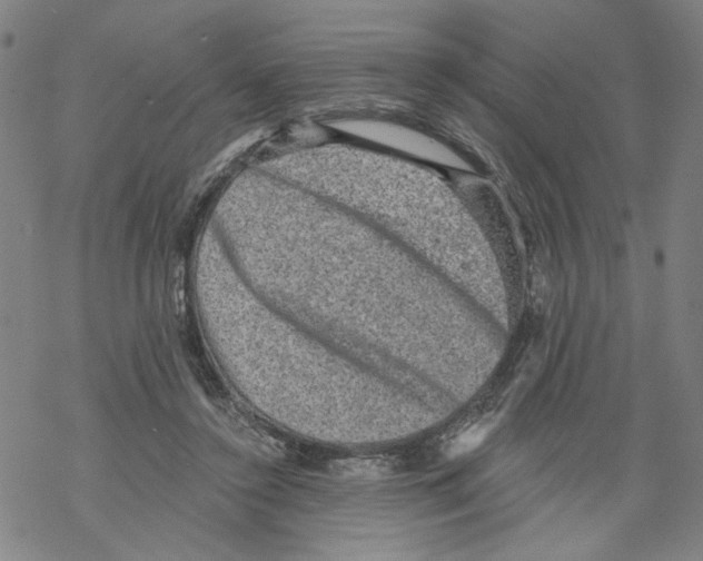 X0000067900356200605111923