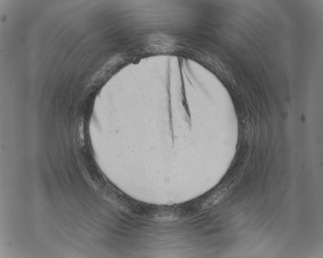 X0000067900358200605111923