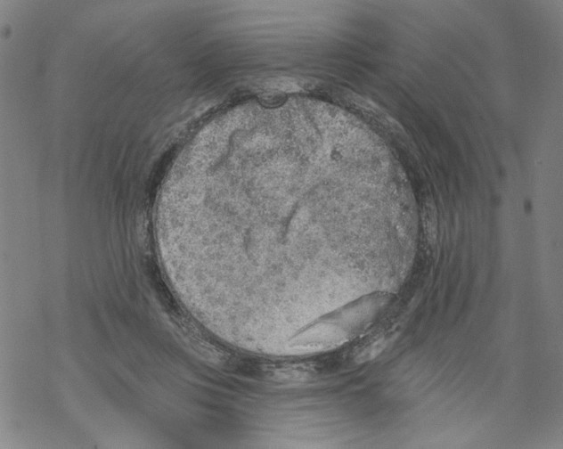 X0000067900359200605111923