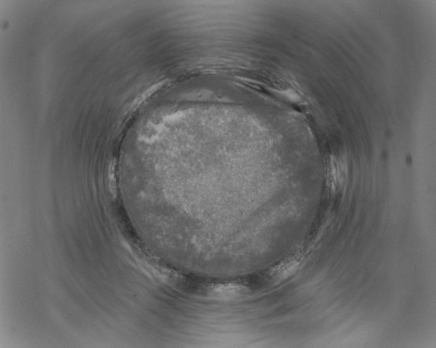 X0000067900360200605111923