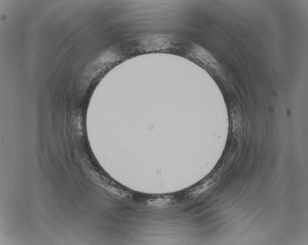 X0000067900362200605111923