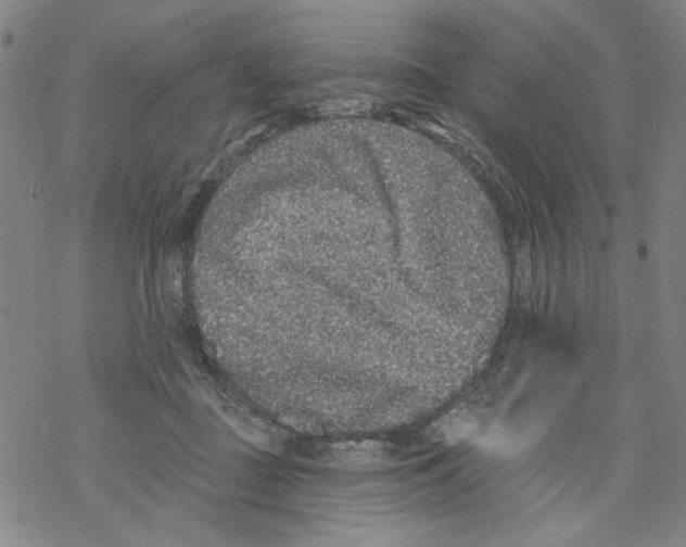 X0000067900363200605111923