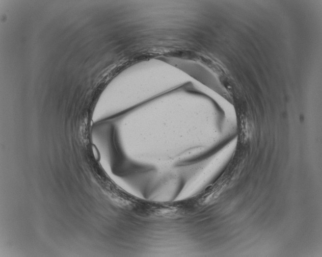 X0000067900364200605111923