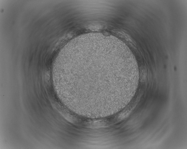 X0000067900365200605111923