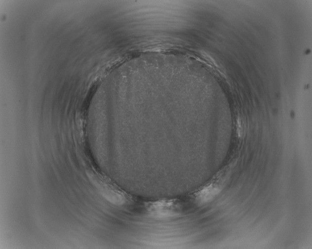 X0000067900366200605111923