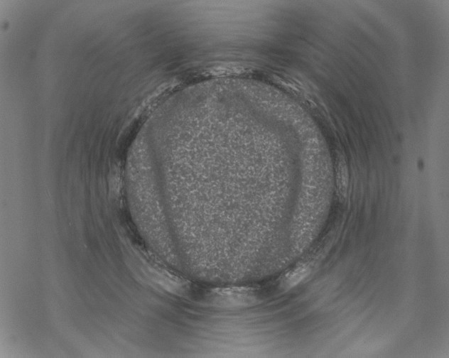 X0000067900367200605111923