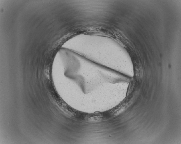 X0000067900368200605111923