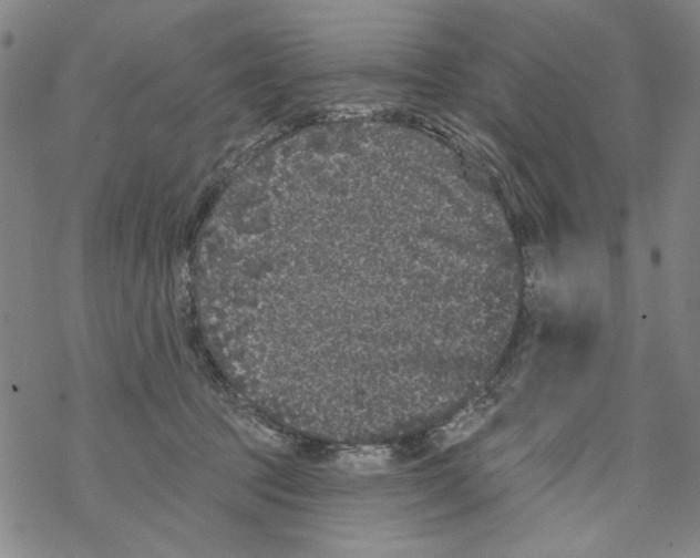 X0000067900369200605111923