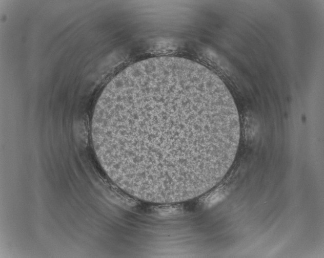 X0000067900370200605111923