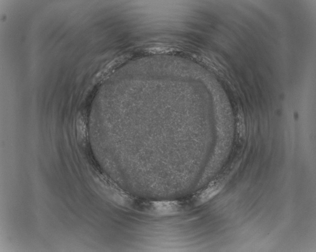 X0000067900371200605111923