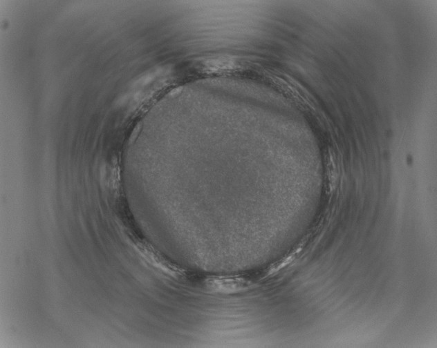 X0000067900372200605111923