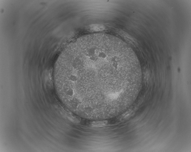 X0000067900373200605111923