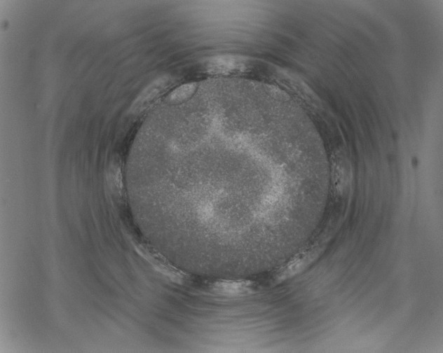 X0000067900375200605111923