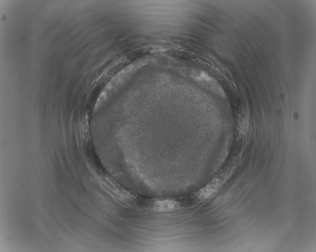 X0000067900376200605111923