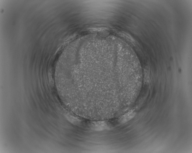 X0000067900377200605111923