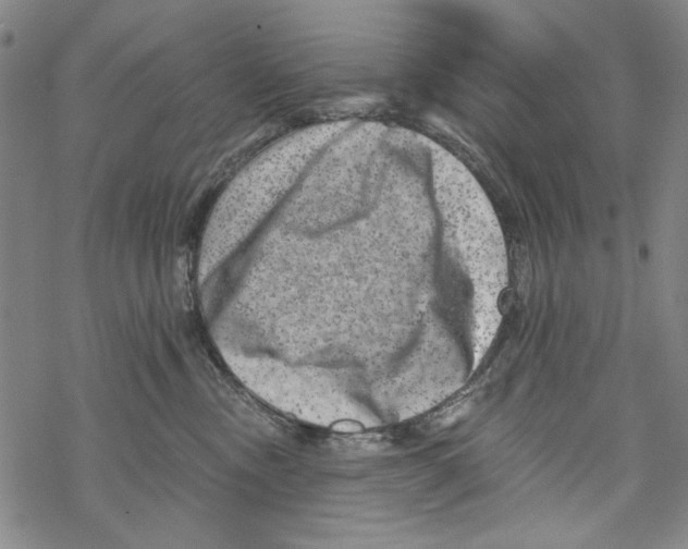 X0000067900378200605111923