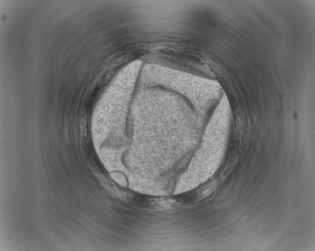 X0000067900379200605111923