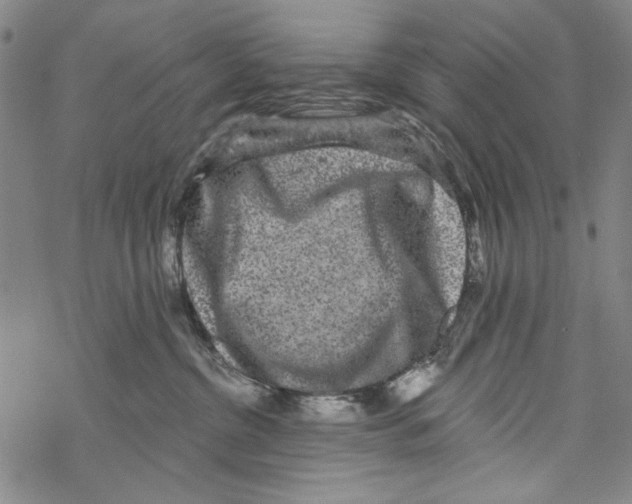 X0000067900380200605111923