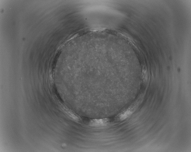 X0000067900381200605111923