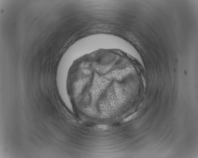 X0000067900382200605111923