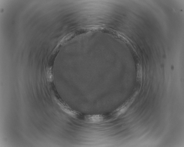 X0000067900383200605111923