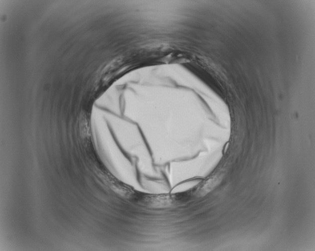 X0000067900384200605111923