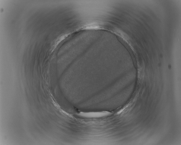 X0000067900385200605111923