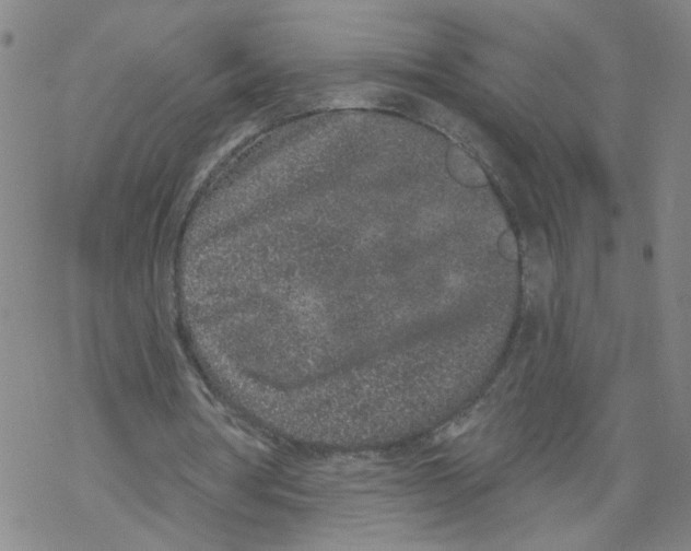 X0000067900386200605111923