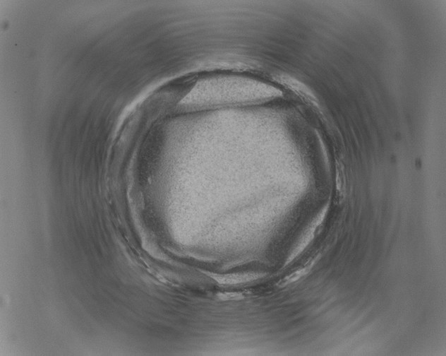 X0000067900388200605111923