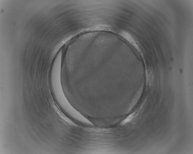 X0000067900389200605111923