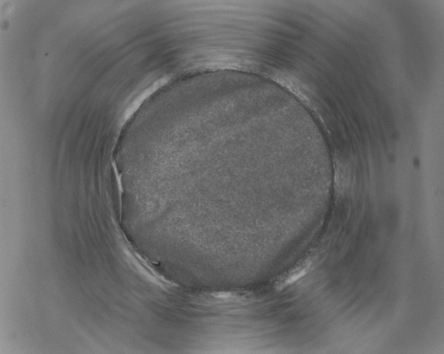 X0000067900390200605111923