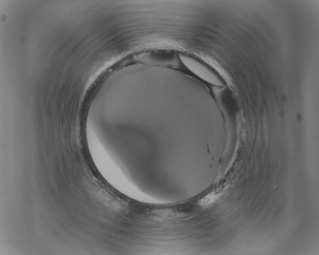 X0000067900391200605111923