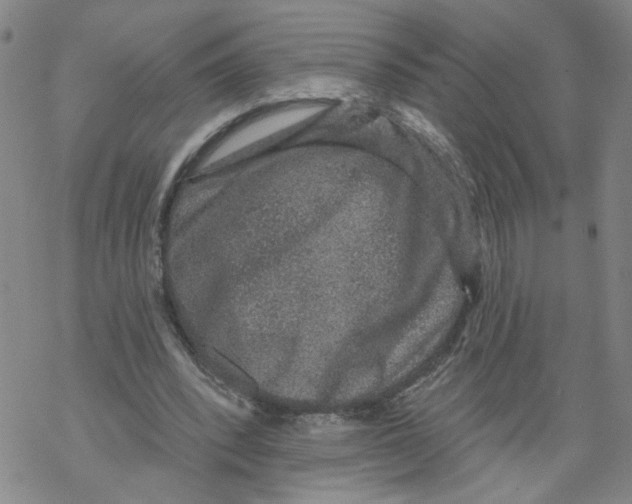 X0000067900392200605111922