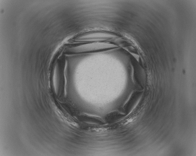 X0000067900395200605111922