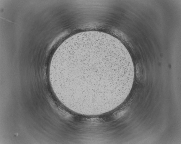 X0000067900396200605111922